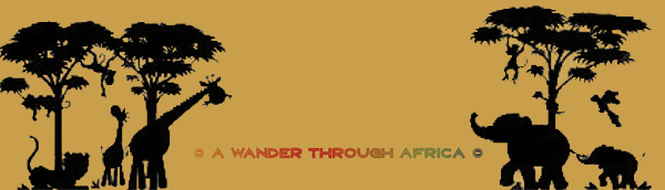 A Wander Through Africa